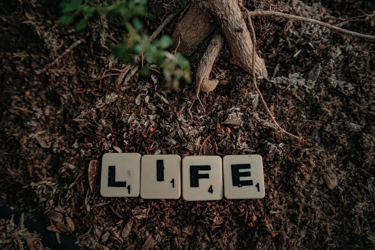 خاک و ریشه درختی که با تیکه های الفبا پلاستیکی کلمه زندگی را نمایش میدهند